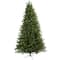 7.5ft. Pre-Lit Rembrandt Artificial Christmas Tree, Clear Lights